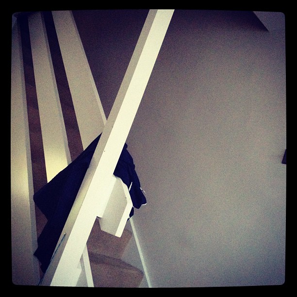 Blue flower, red thorns.