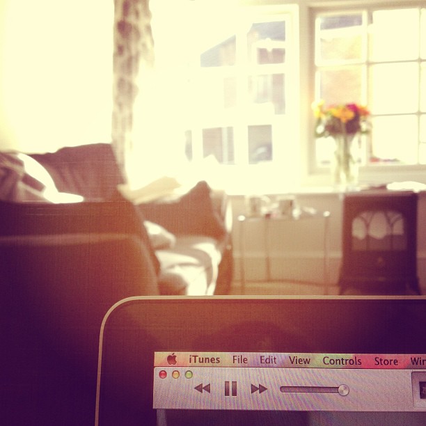 This is what 'holiday' looks like.