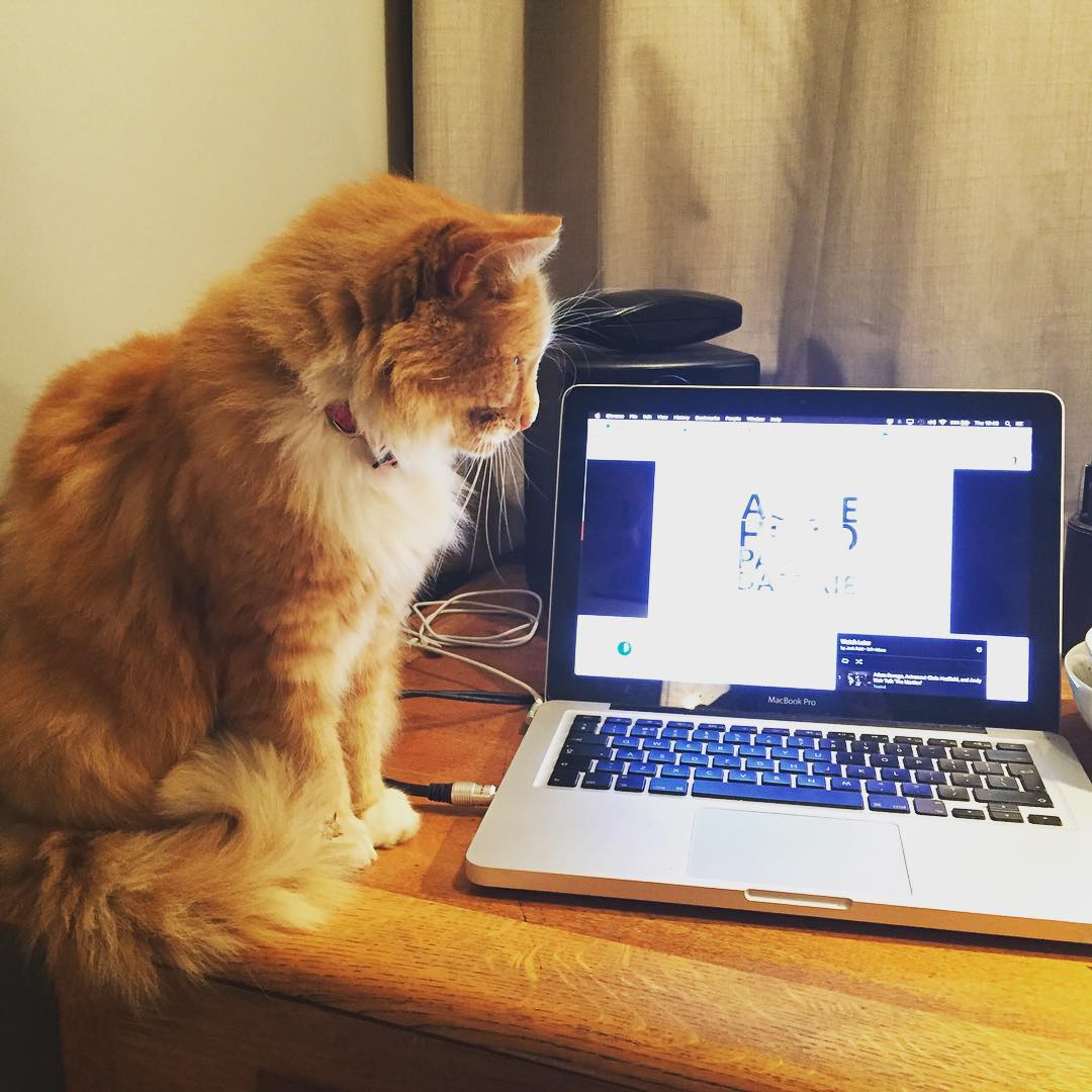 bella + adele ❤️