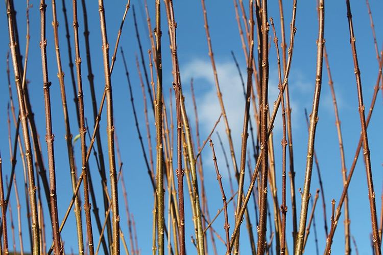 I slept for a real long time just now. I think that was a lot of medicine to take at once. 🌟💊🌙