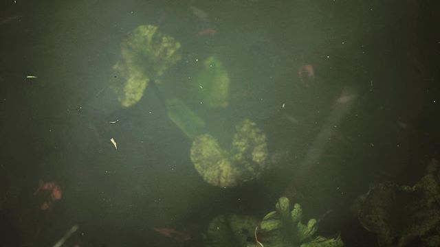 Anybody remember Cold Knap Lake? Vibes. 💀