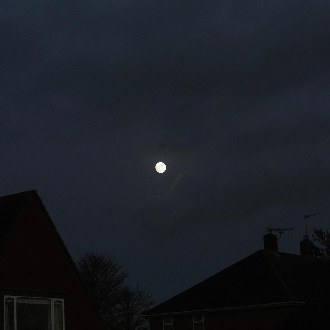 I had a very busy week, sleep is the goal.