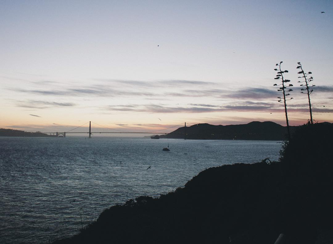 The Bay | The Gate | The Rock (👸🏼⛩🤘)