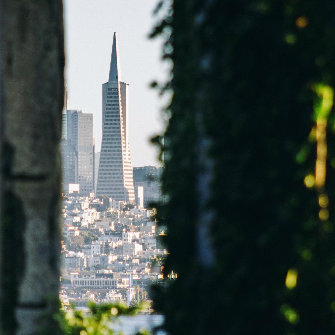 In a few hours I'm going to be flying out of San Francisco. I'm sad to see it go. I have so many reasons to come back. ✈️