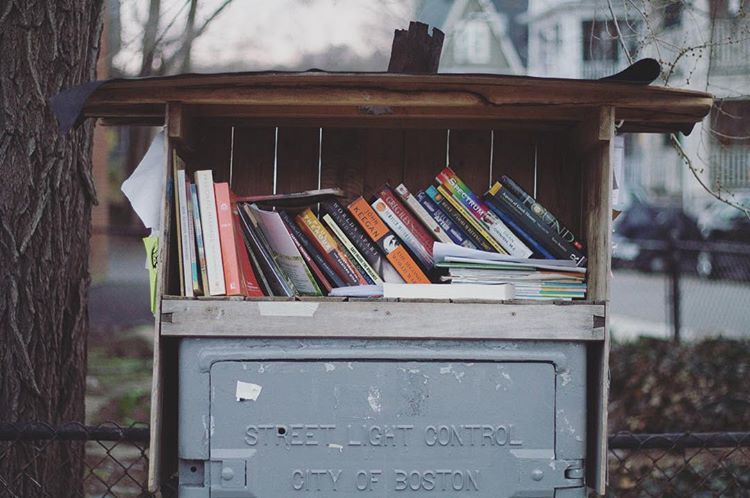 An impromptu neighbourhood library
