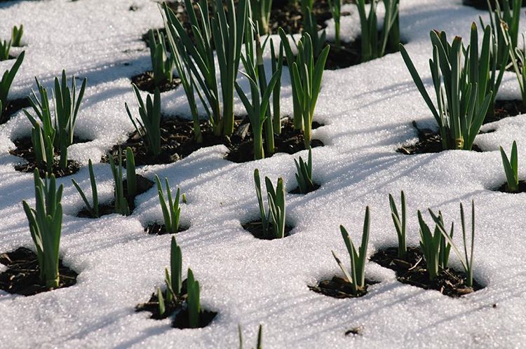 All the Boston photos are up on Medium now. Penultimate set. 😫