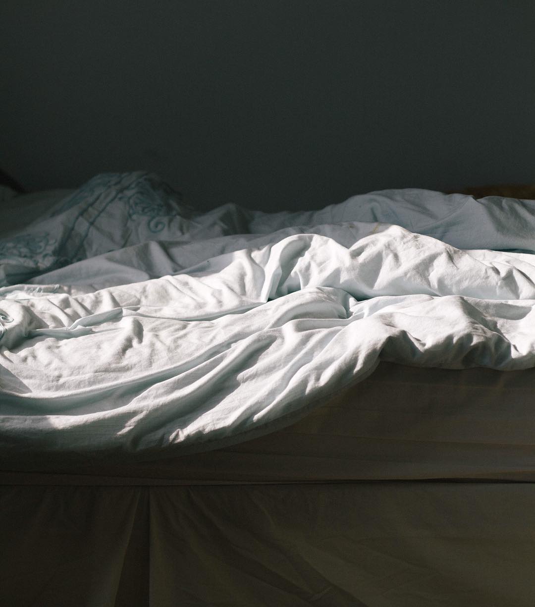 Sunny This Morning ☀️