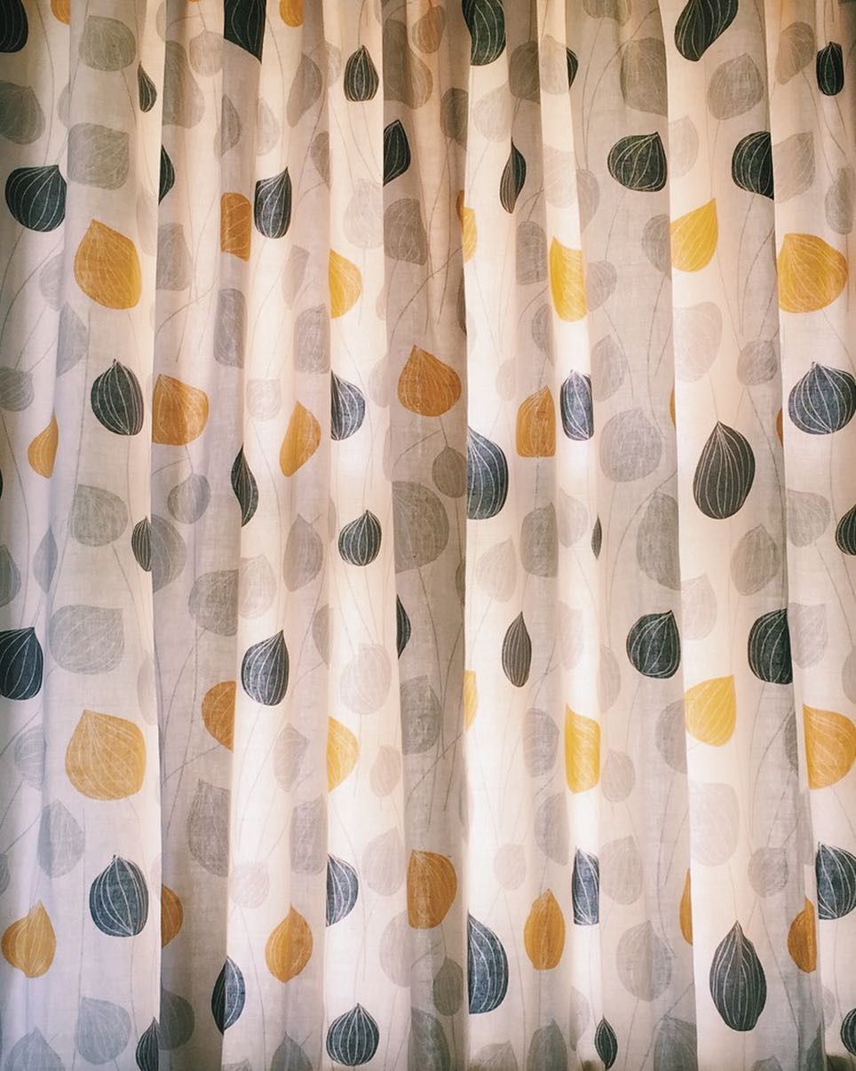 The curtains, the onions