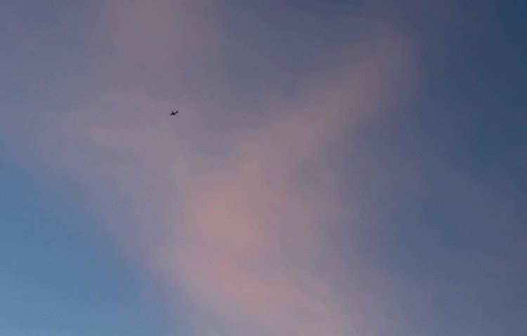 morning (kinda). airplane. ✈️