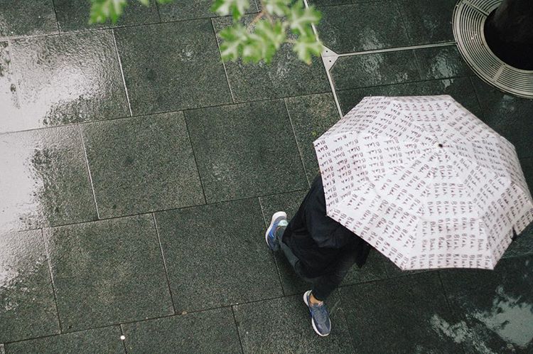 morning. reign. 🌧