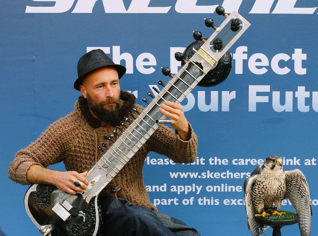 evening. the falcon and the sitar. 🌙