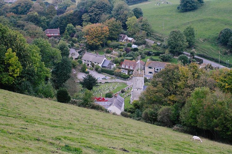 morning. village in the country.