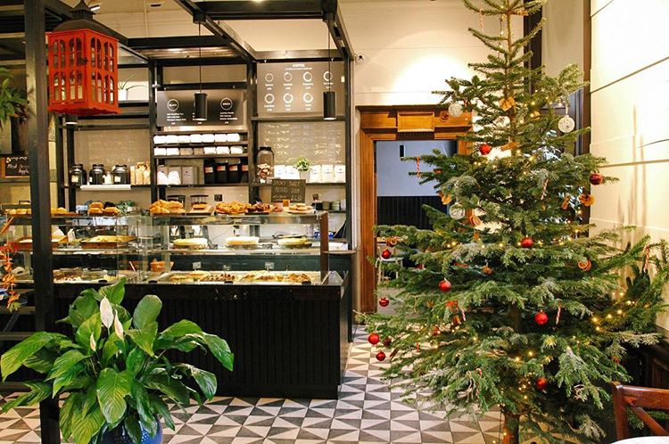 6.1 - festive flat white dispenser