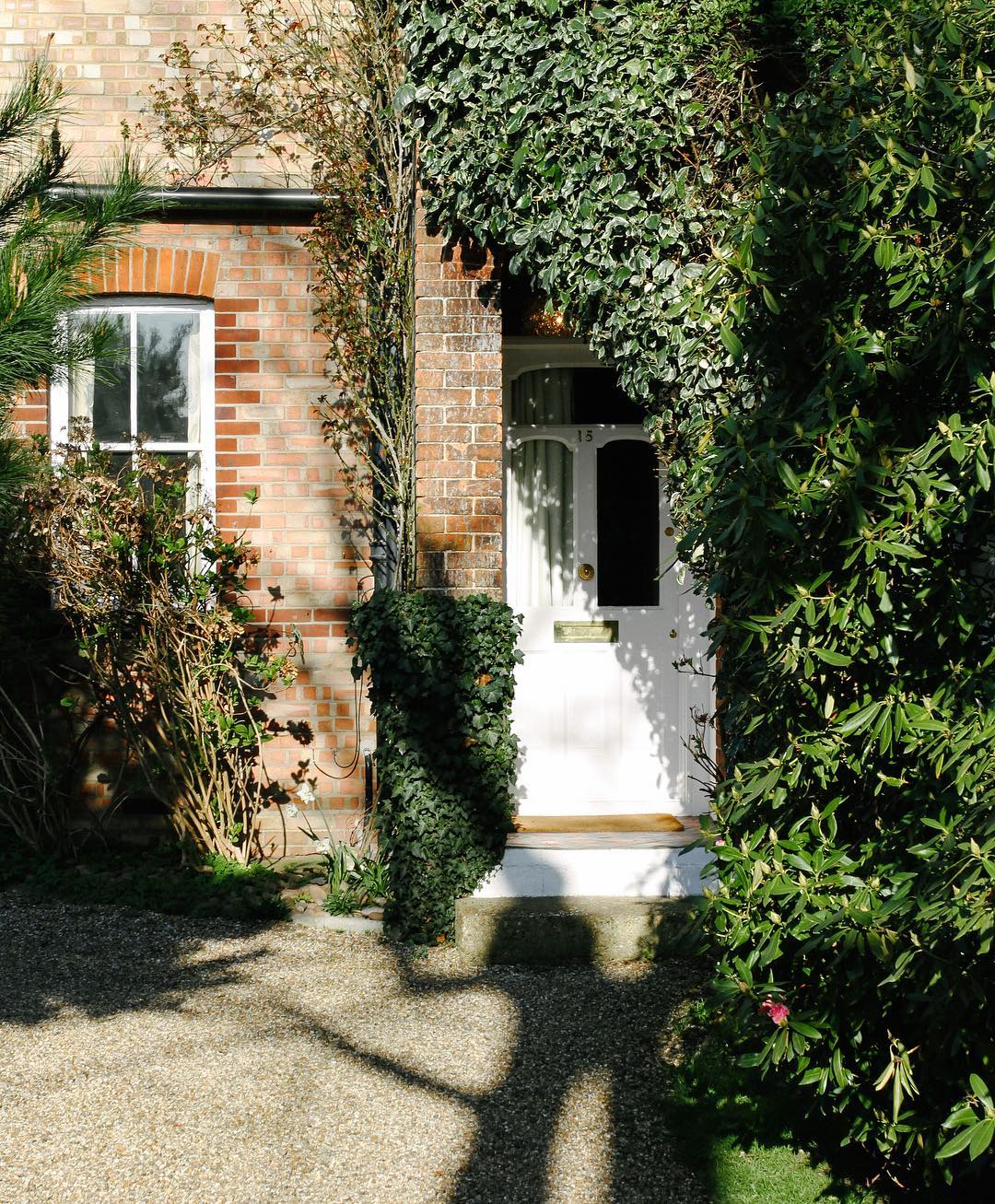 66.0 - boughs of ivy 🌿