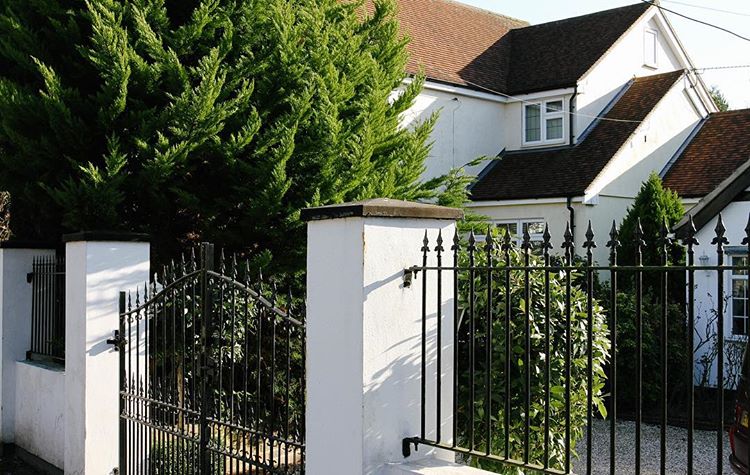 68.1 - stifle sunday