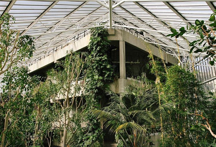 69.2 - postapocalyptica