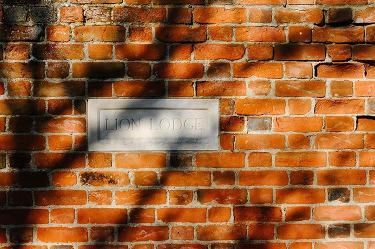 69.0 - lion in the shadows 🦁