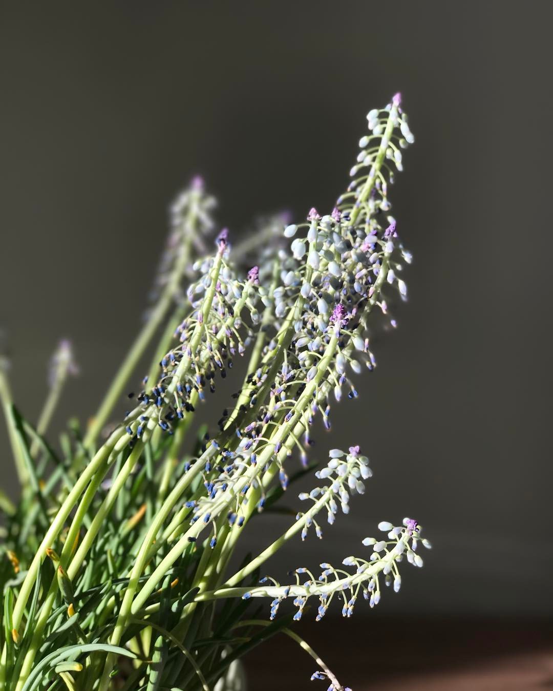 106.1 - day full of stormshine 🌦