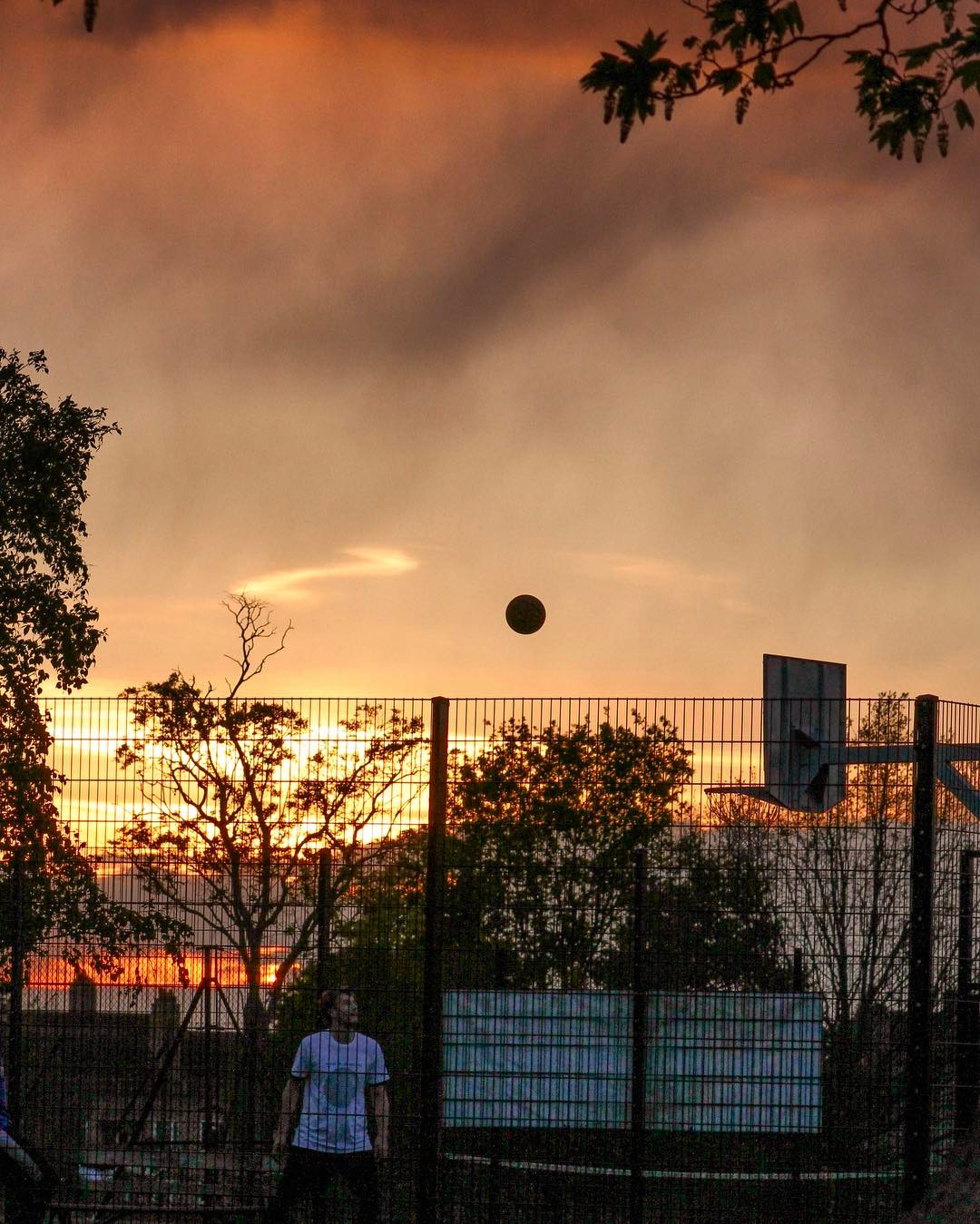 103.2 - hang time 🏀☀️