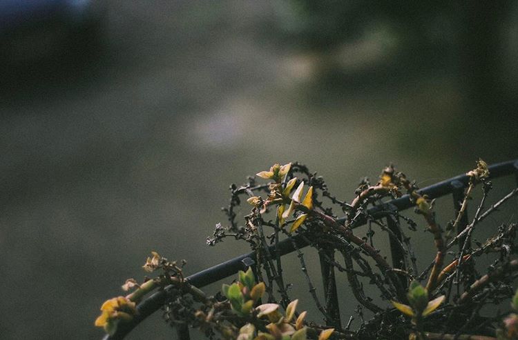 108.0 - bank holiday