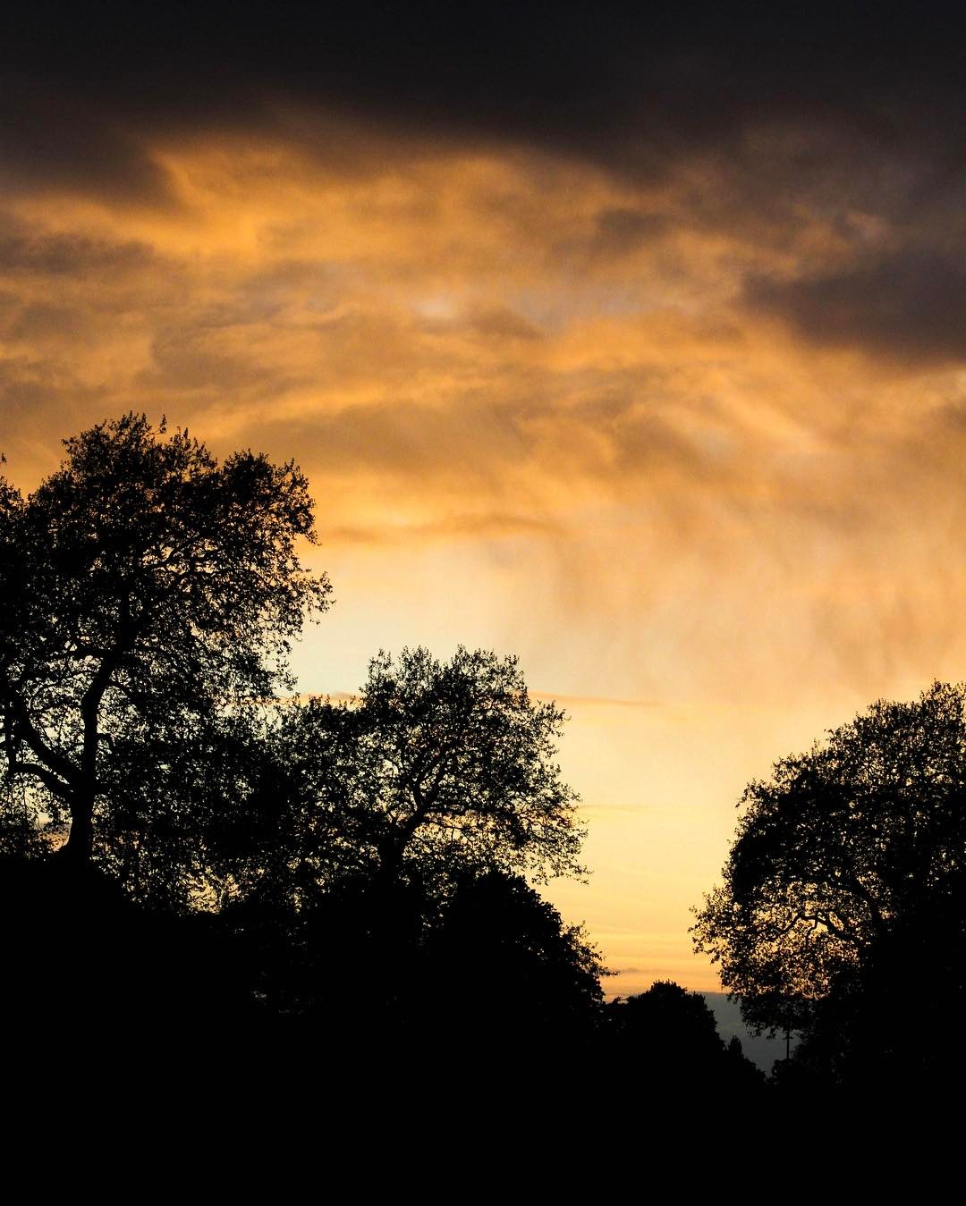 123.0 - london as mangrove