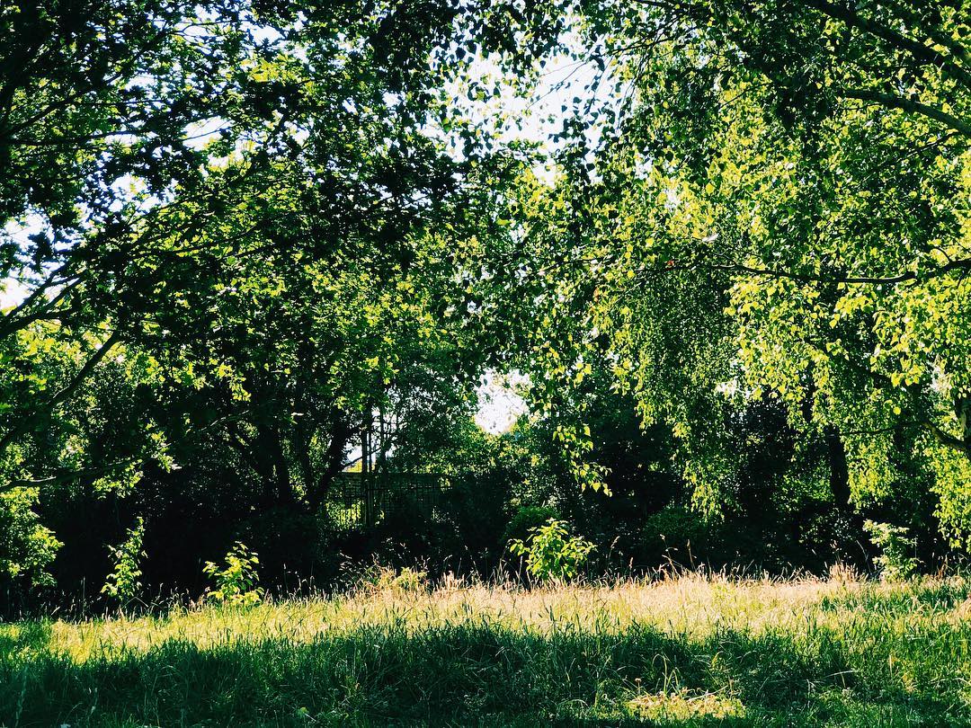 126.2 - flittergits 🌱