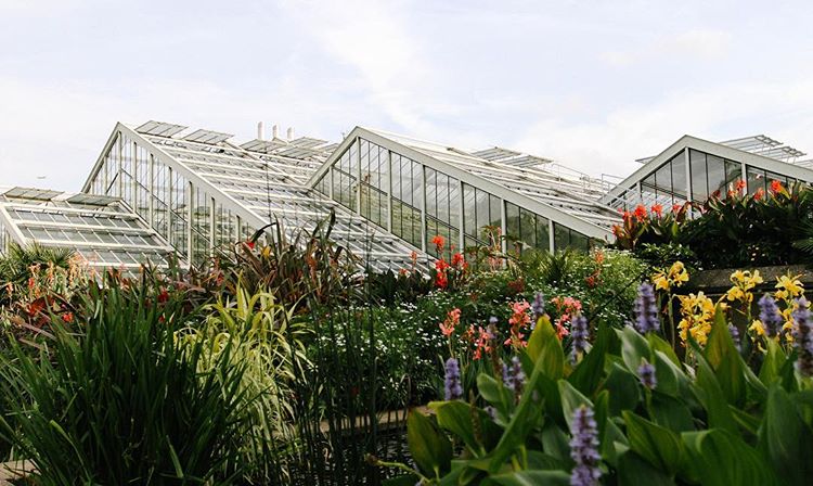 213.1 - tripuhlit tripuhlit tripuhlit