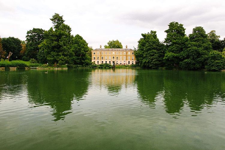 225.1 - the empire the violence