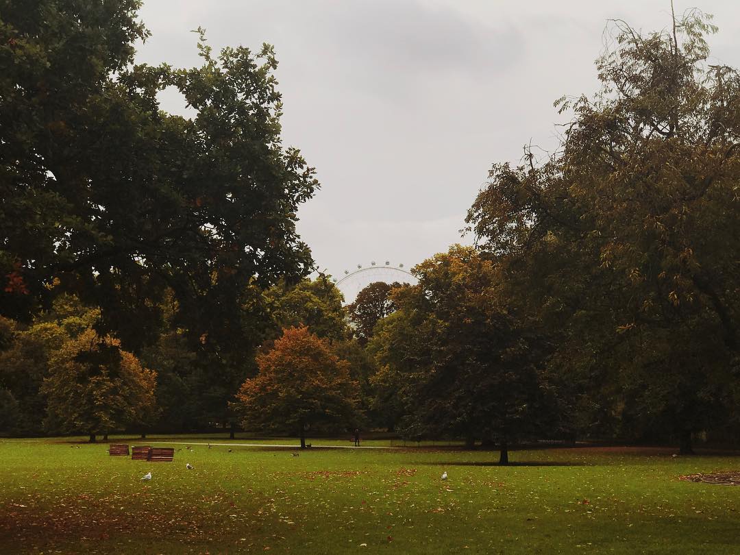 242.0 - the red the orange