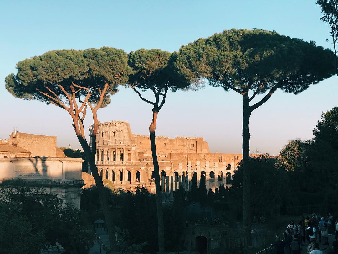 268.1 - 🌱 🌱 🌱