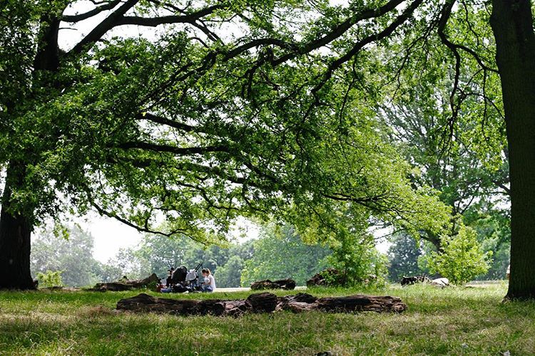 🍃the sun the park 🍃