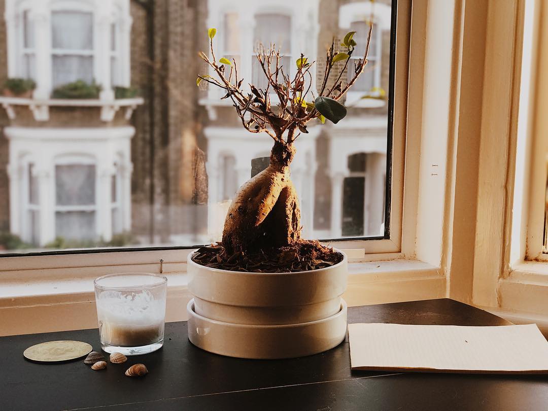 how golden hour goes