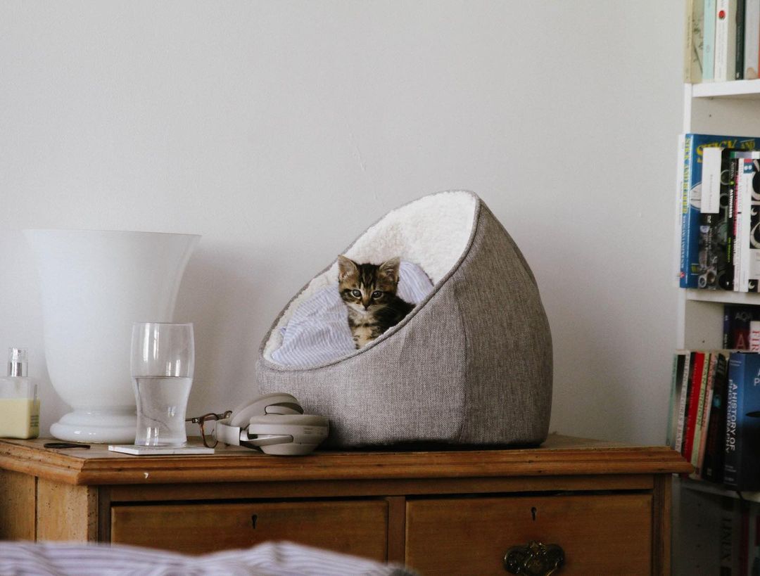 🥃 her name’s talisker 🥃